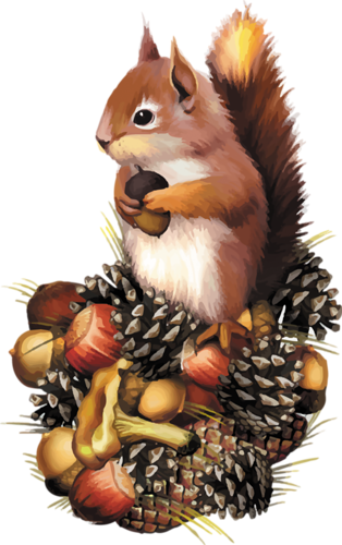 őszi állatok_169.png